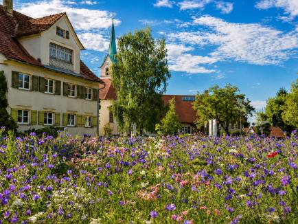 Opfenbach im Westallgäu