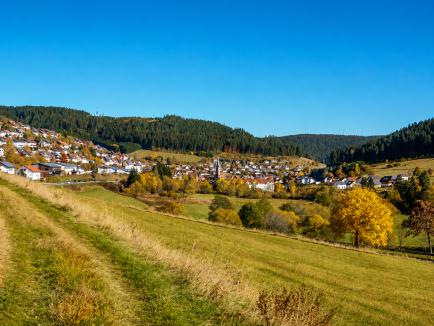 Vöhrenbach im Hochschwarzwald