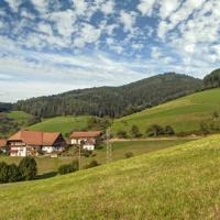 Dorf im Schwarzwald an sanften Hügeln gelegen