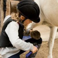Junges Mädchen putzt Pony die Hufe