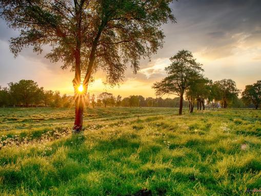 Auenlandschaft bei Apen 