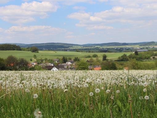 Medebach-Berge, im Hintergrund die alte Hansestadt