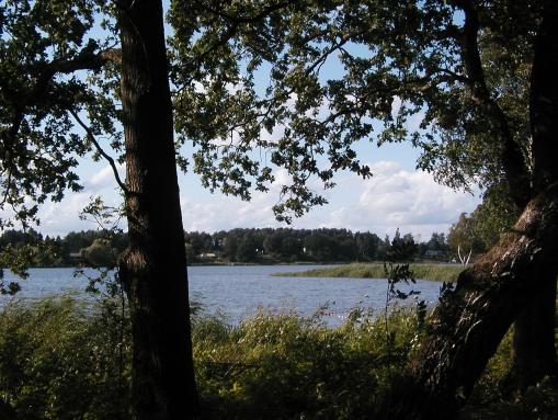 Blick vom Waldheim auf den Brahmsee