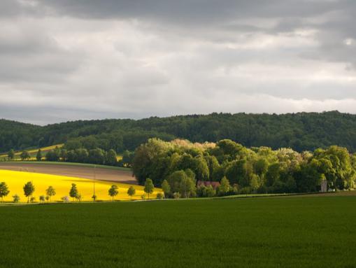 Die Umgebung von Wrisbergholzen