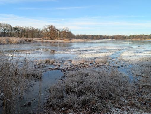 Erholungsgebiet Körbaer Teich