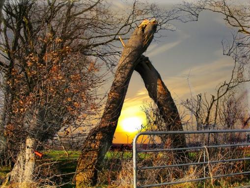 Idylle in der Friesischen Wehde