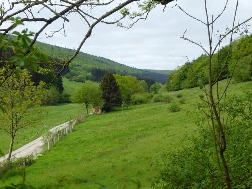 Naturschutzgebiet Hellental, Landkreis Holzminden