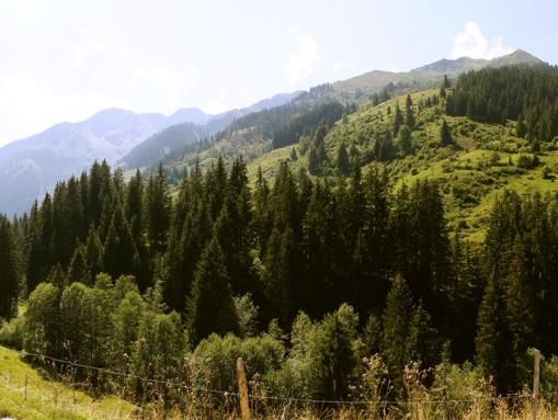 Wanderparadies Wildschönau