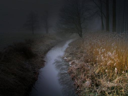 Idylle in der Friesischen Wehde