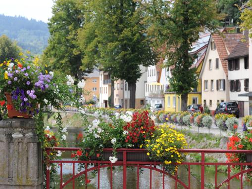 Blick von der Rebstockbrücke auf den Lierbach