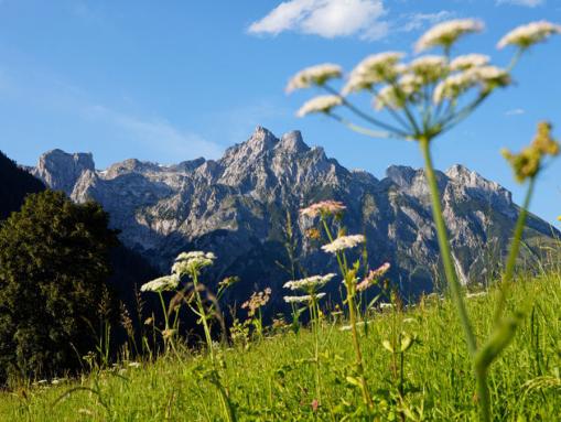 Sommer in Werfenweng