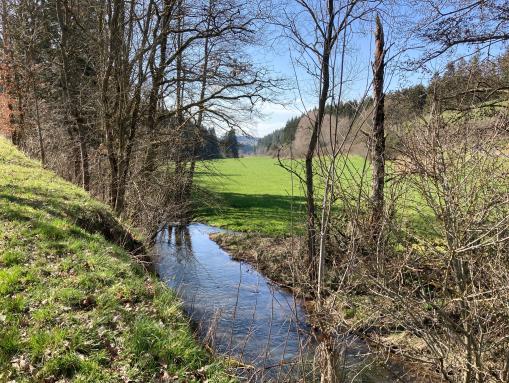 Wandern in Winterspelt