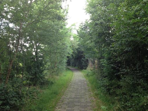 Hess. Radfernweg R4 bei Wabern