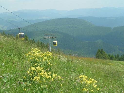 Seilbahn auf den Belchen, Blick talwärts