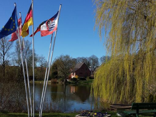 Dorfteich in Malkwitz (Malente)