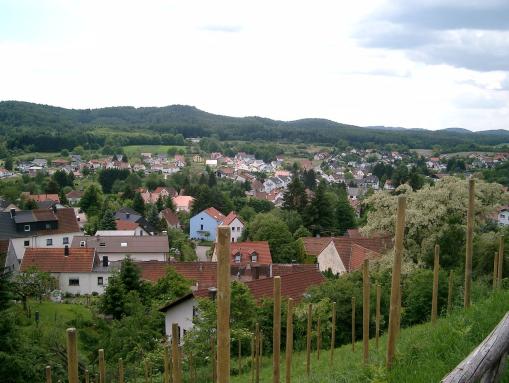 Blick auf Kirkel