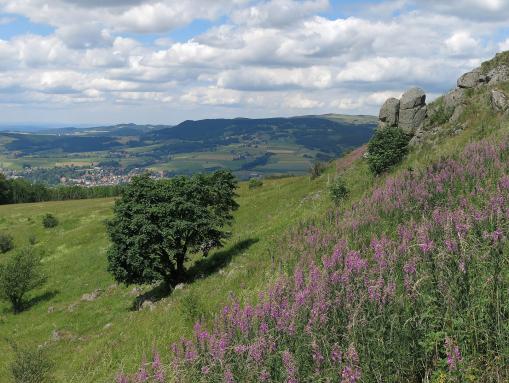 Wandern in Gersberg Simmelsberg