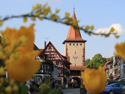 Obertor in Gengenbach