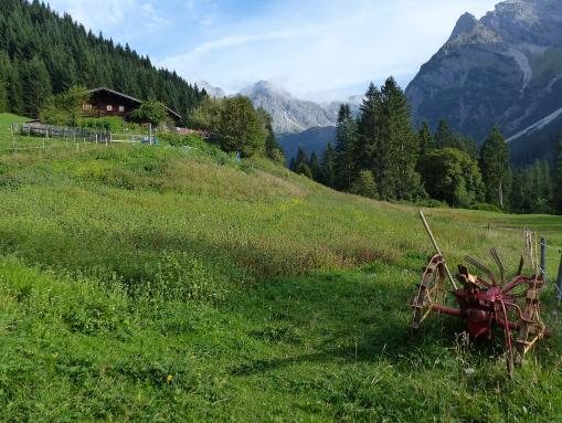 Heuwiese im unteren Wildental
