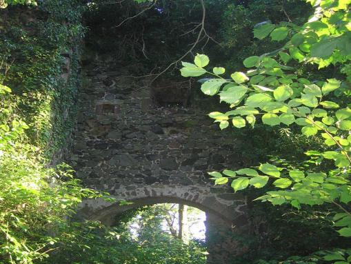 Burgruine Falkenberg