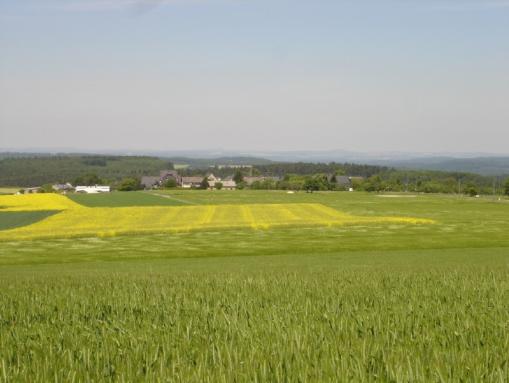 Sommerwiesen vor Raversbeuren