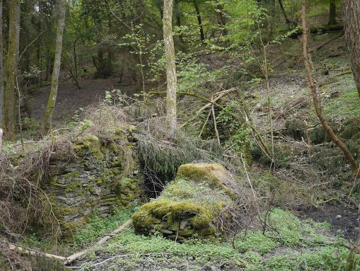 Ruine Schmitz Mühle Großbachtal Raversbeuren