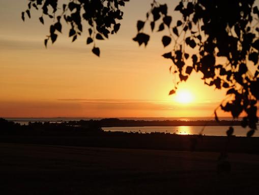Salzhaff Sonnenuntergang bei Boiensdorf