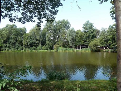 Der Waldsee Ellerner Weiher
