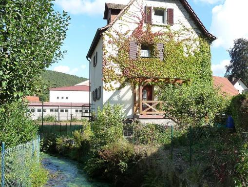 Der Speyerbach in Elmstein