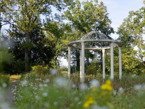 Offener Säulentempel in der historischen Anlage des Bispinghofs