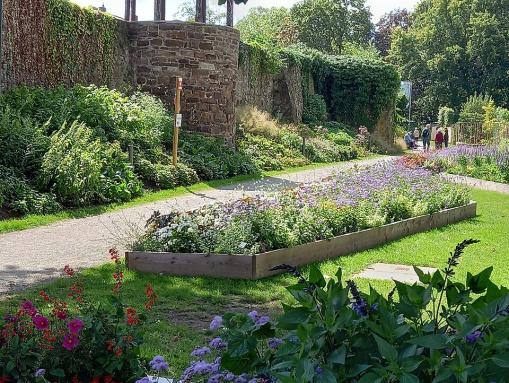 Stadtmauer während der Landesgartenschau 2023