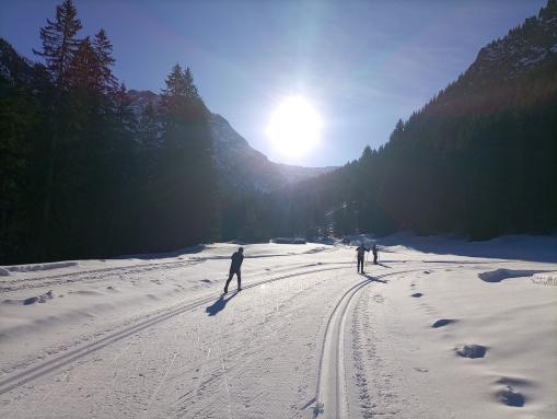 Loipenangebot in hervorragender Qualität