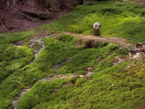 Weißfraubrunnen bei Mossautal-Güttersbach