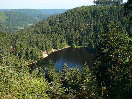 Der Glaswaldsee bei Bad Rippoldsau-Schapbach