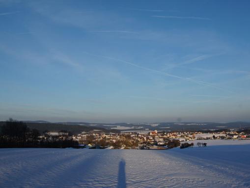 Blick auf Trisching bei Schmidgaden