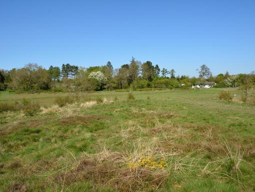 Naturerlebnisraum "Posberg"