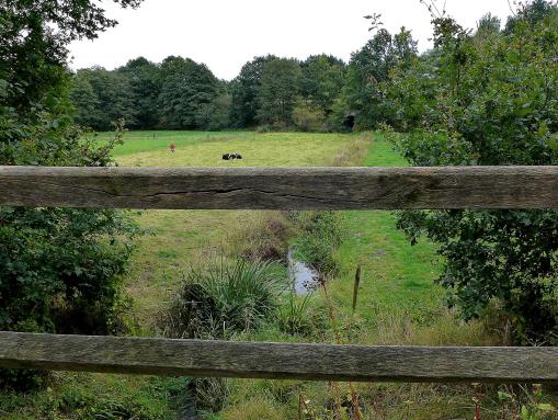 Viehweide am Schmobach, Ortsrand des Ortsteils Brunsbrock