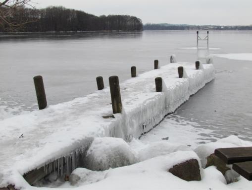 Winterliche Ruhe am Wittensee