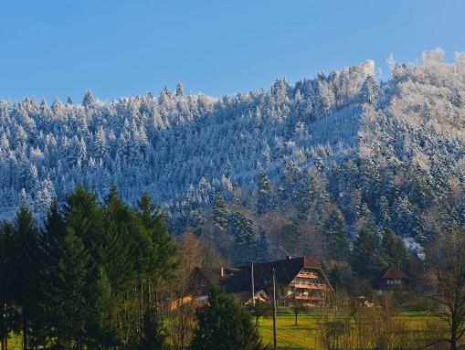 Gengenbach zwischen Winter und Frühjahr