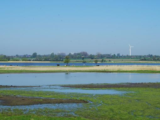 Naturschutzgebiet Schwansener See