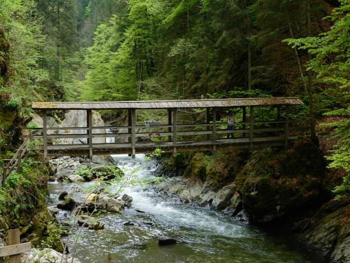Brücke über das Naturdenkmal Donnersbacher Klamm