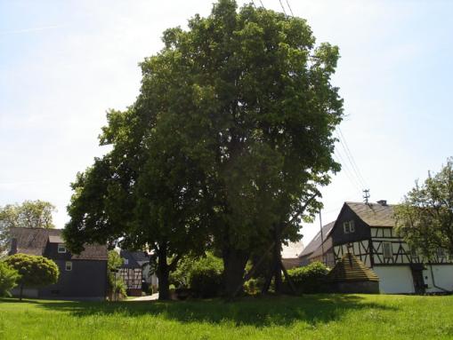 Historischer Ziehbrunnen