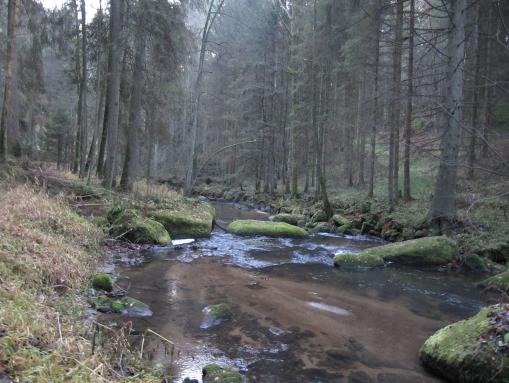 Die Kleine Mühl in Sarleinsbach