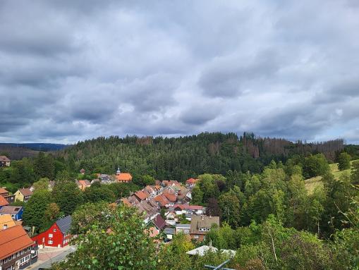 Aussicht von der Schützenklippe über die Altstadt