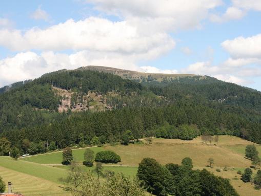 Belchen, von Heubronn/Neuenweg aus gesehen