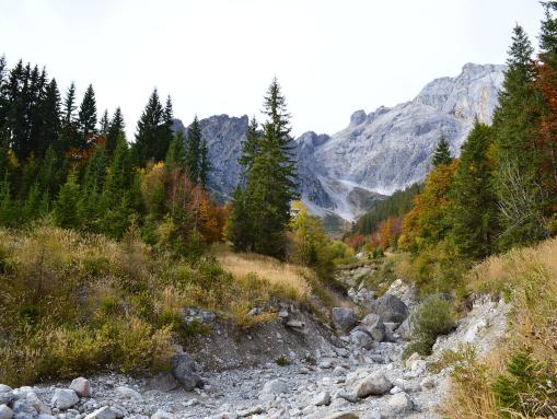 Der Trockenbach von Mühlbach