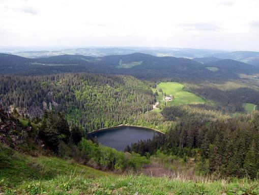 Schwarzwaldromantik - Blick vom Feldbergplateau am Seebuck zum Feldsee