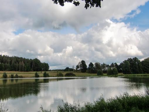 Weiher bei Schmidgaden