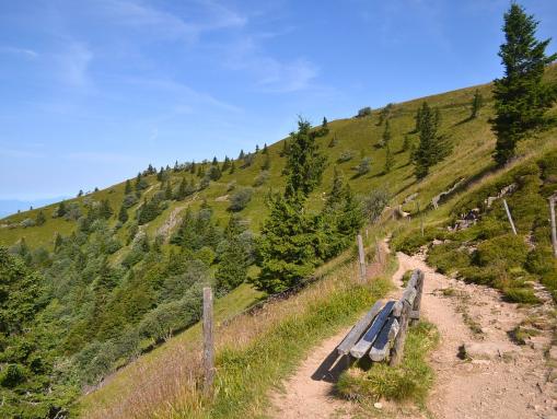 Wanderweg am Belchen