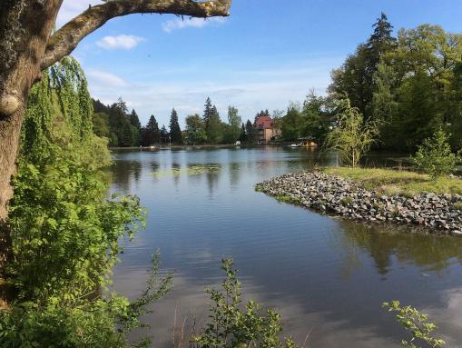 Der Schmelzteich im Vitalpark 